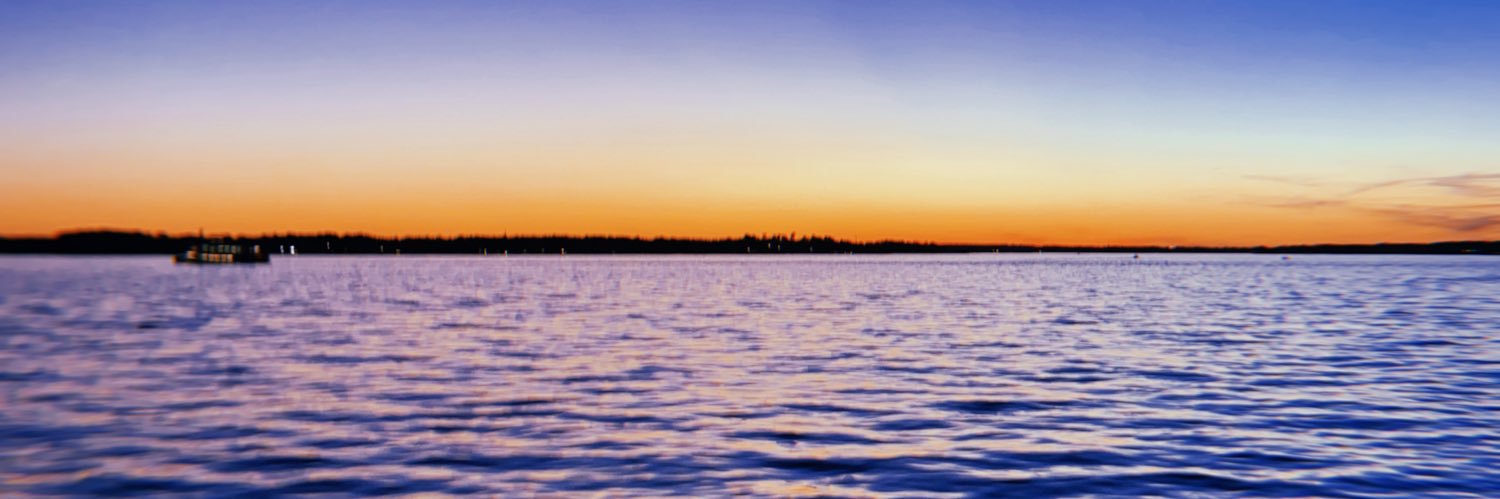 lilfamo_'s profile banner image