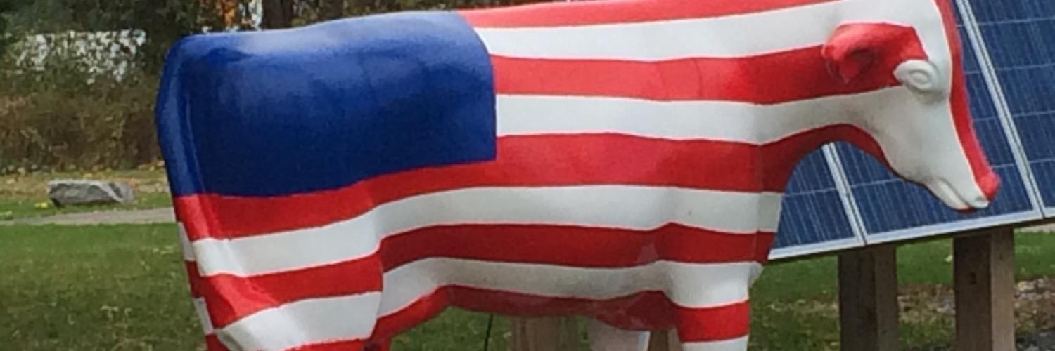 timmermankris's profile banner image