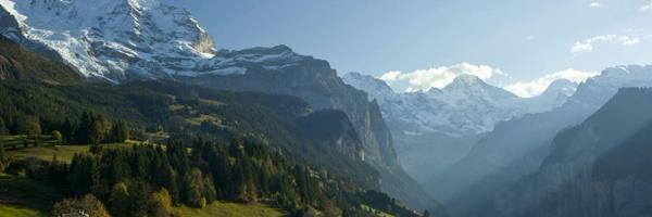 ali1133141 Profile Banner