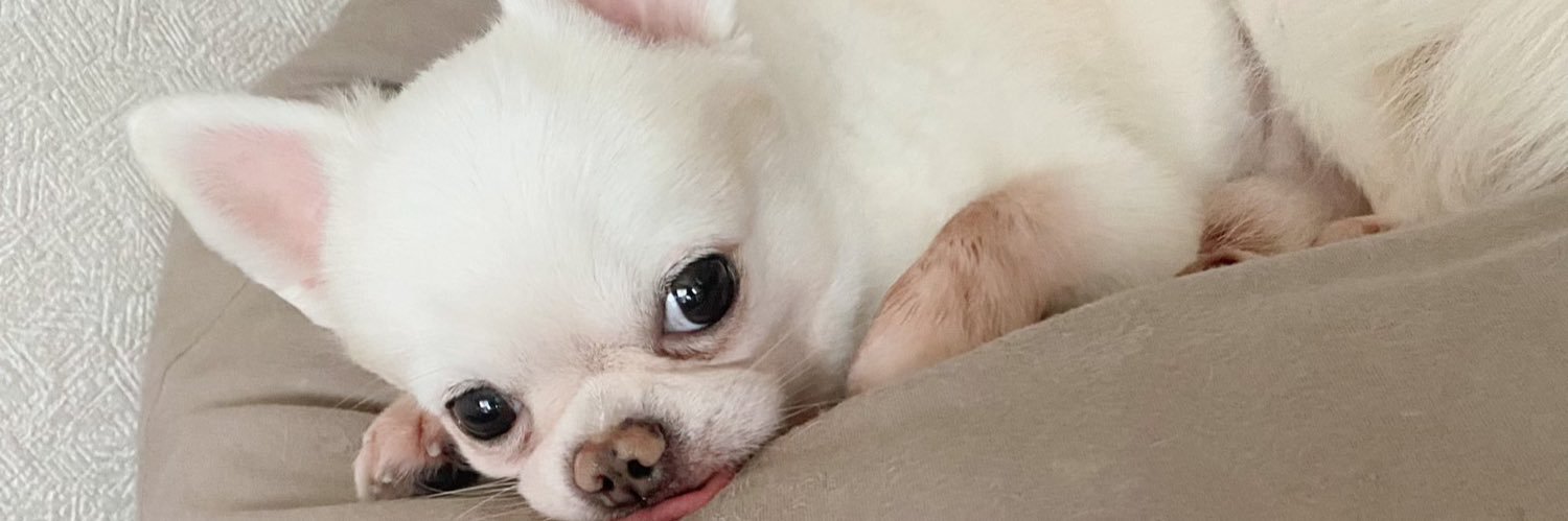 ✩ banner