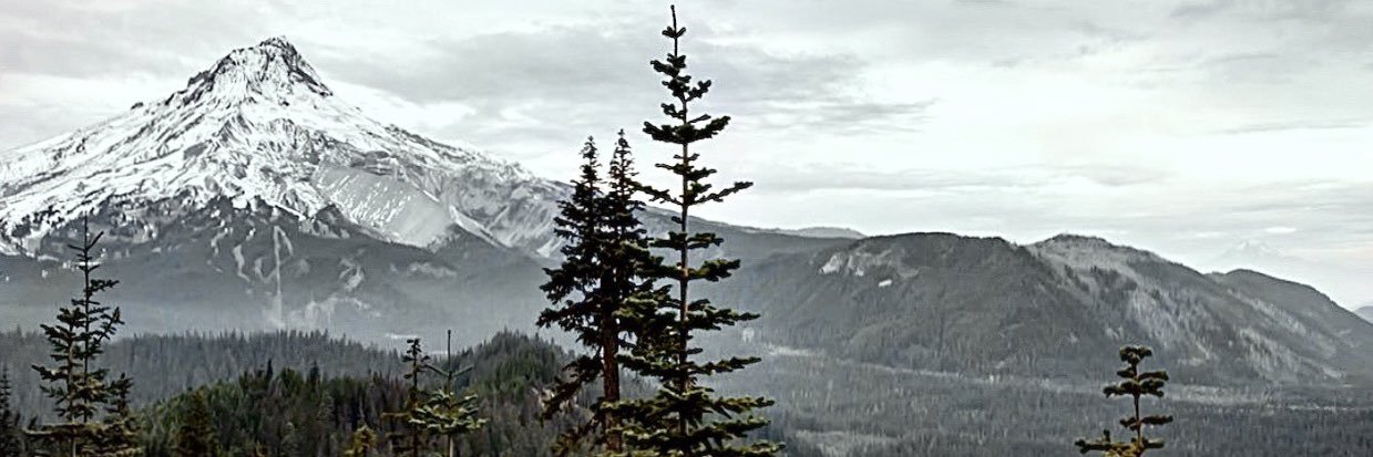 andrew_axmaker's profile banner image