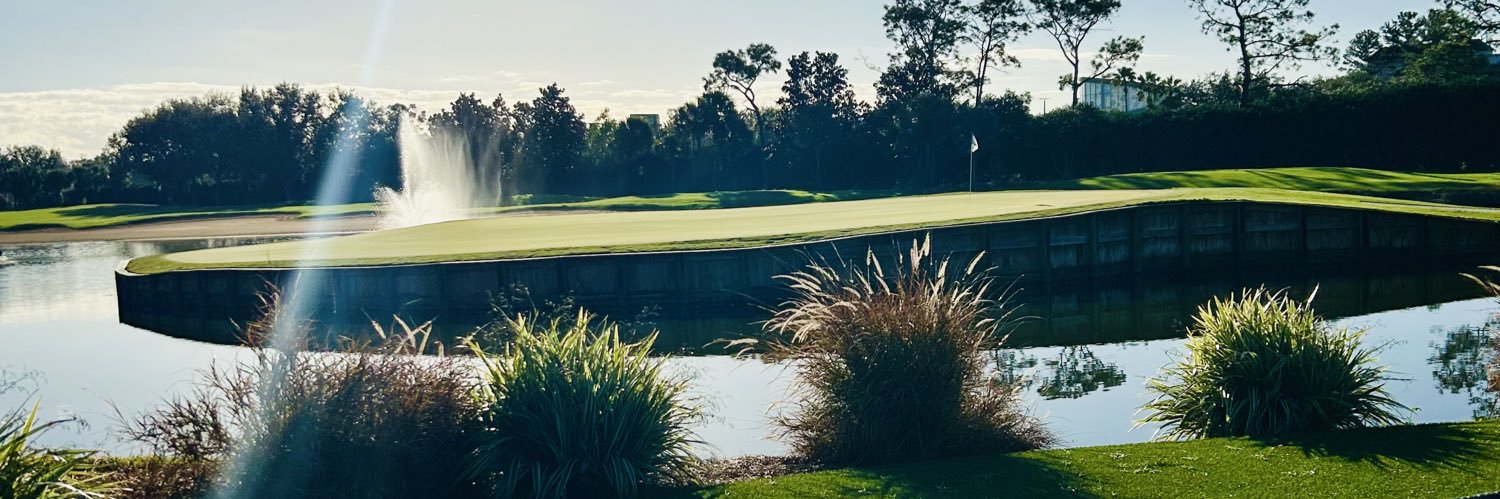 Man on the Moon banner