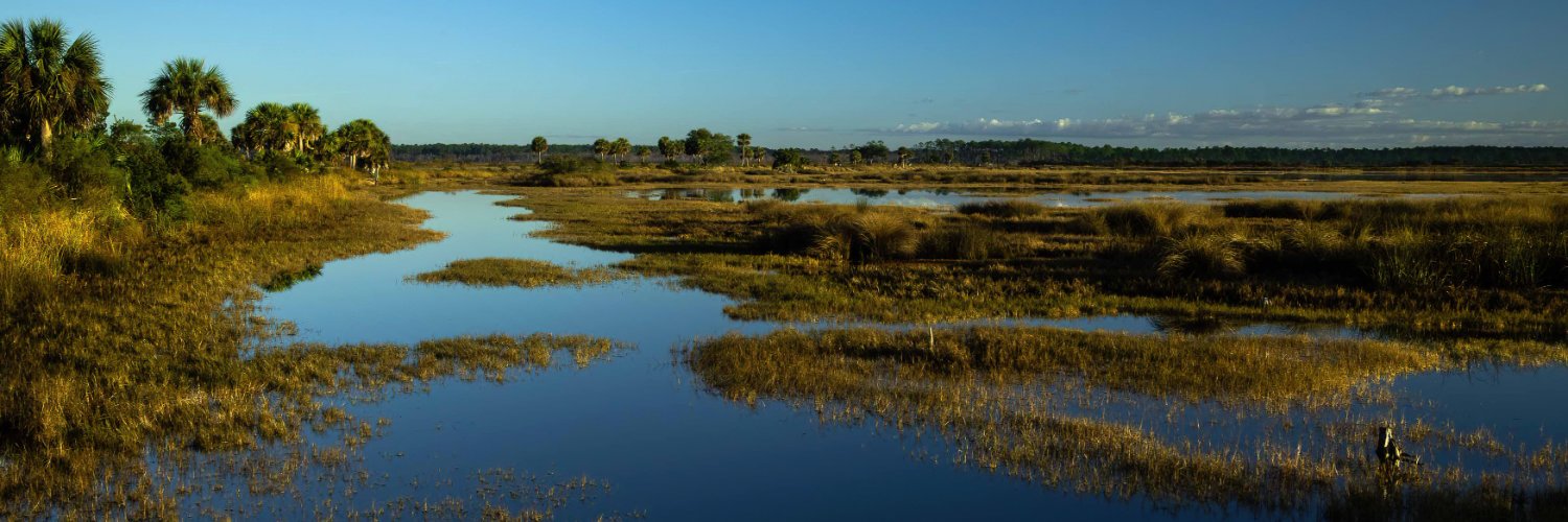 Wilderness Watch banner