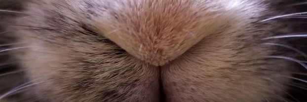66_xtril's profile banner image