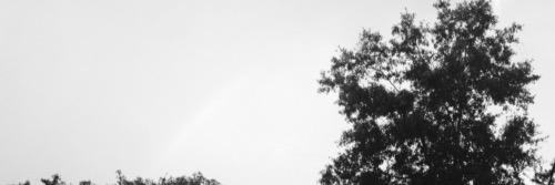 prcfcsscrstyles's profile banner image
