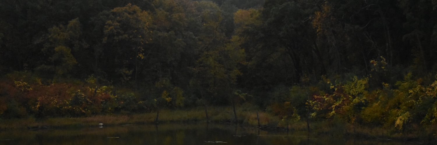 mk2kiphone6's profile banner image