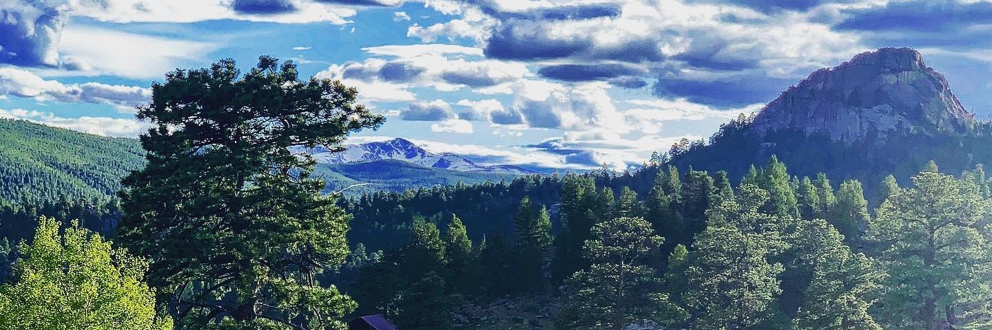 Kerri Shea Beers banner