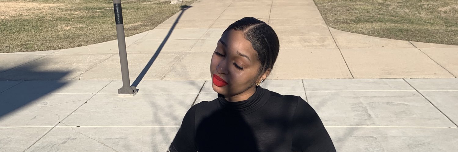 LulSkyluh's profile banner image