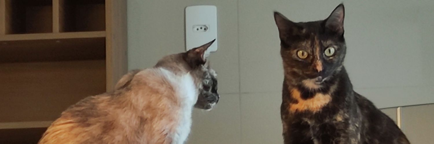 randyfusieger's profile banner image