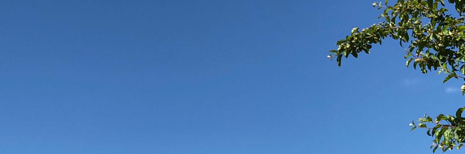 Melanie Dunkley banner