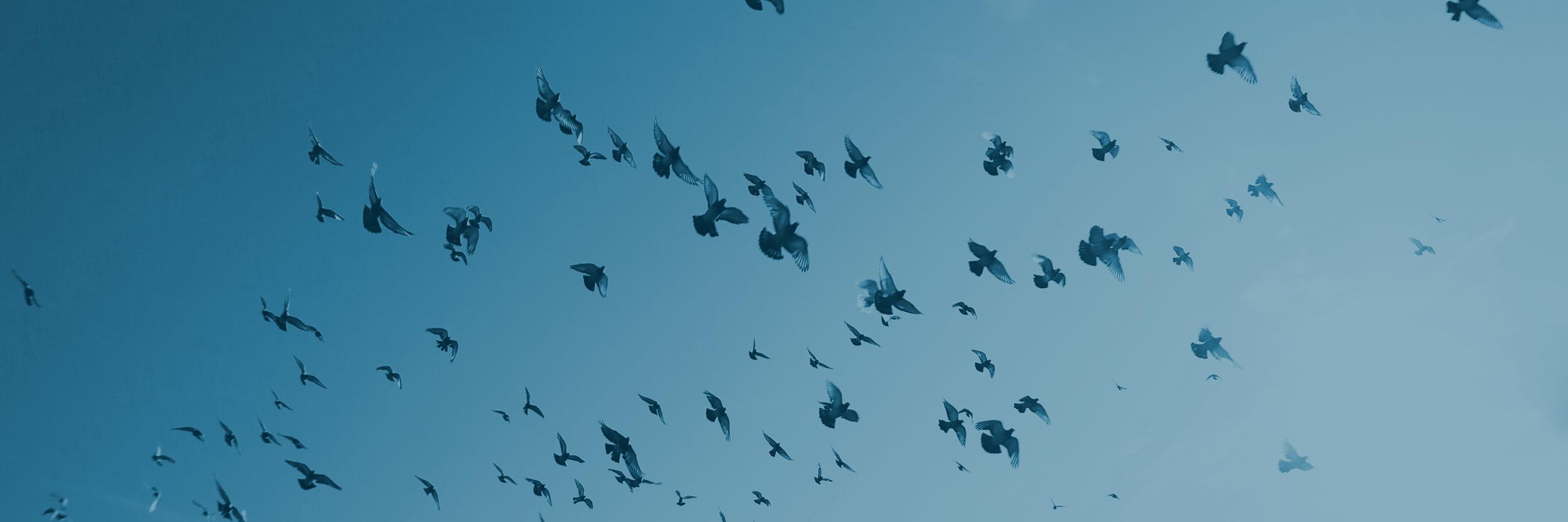 itskwilia's profile banner image