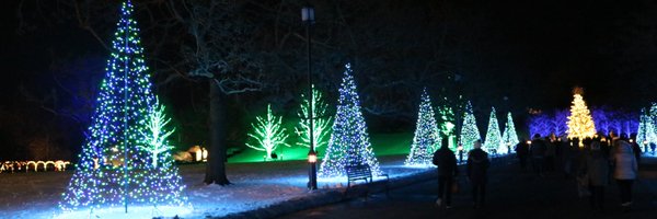 waldoalva Profile Banner