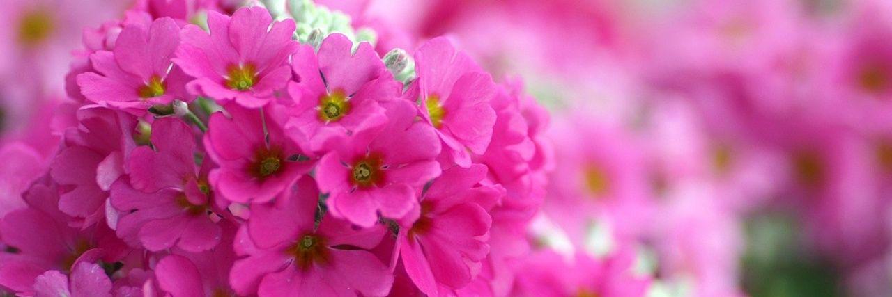 maria josé (@majojhidalgo) / Posts / X