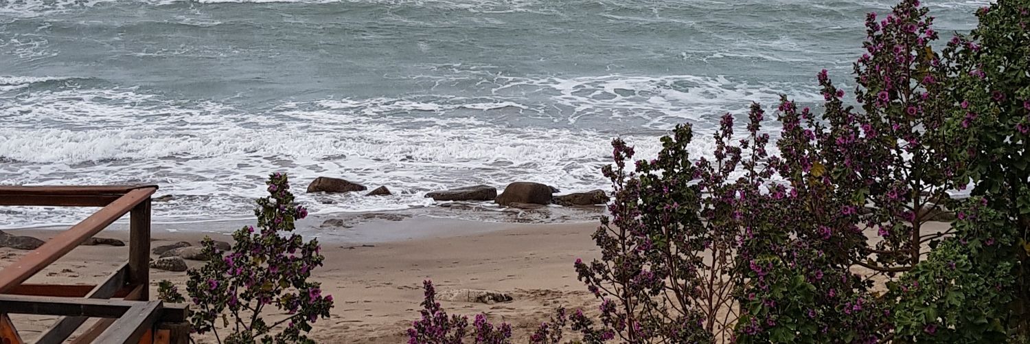 BE_PAZ 💝💞💖 banner