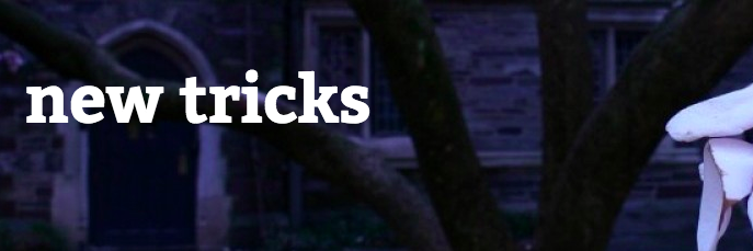 NewTricksMag's profile banner image