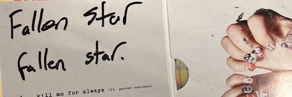 afallennstar Profile Banner