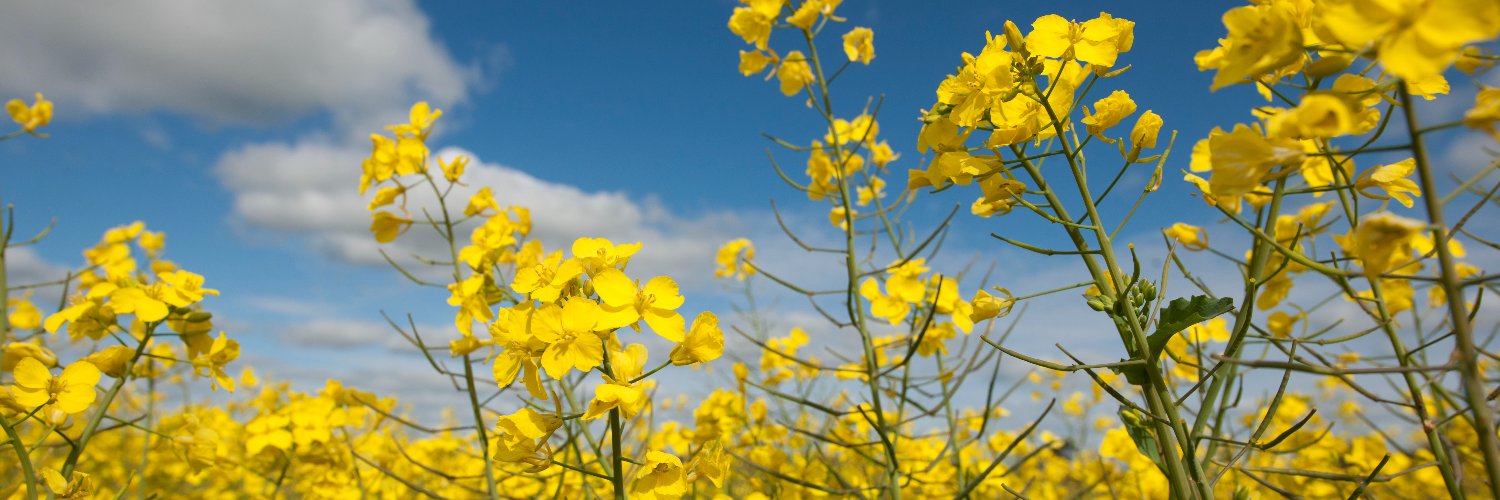 GRDCWest's profile banner image