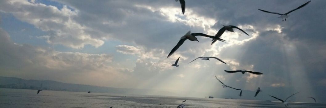 Ahmet Ulusan banner