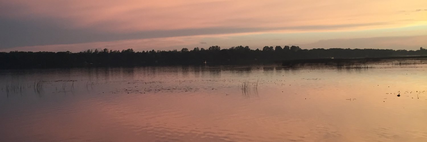 durkinglynn's profile banner image