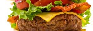 BrazilianDogs's profile banner image