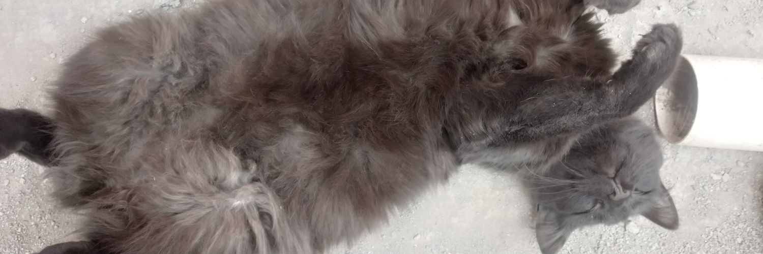 Kruzeth's profile banner image