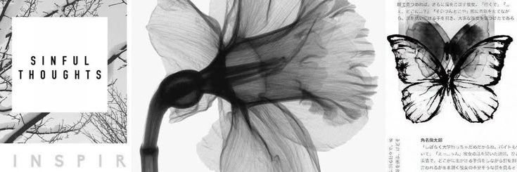 Clara Jesselyn. banner