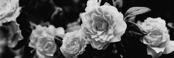 angelusted's profile banner image