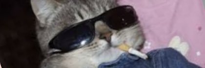 kingaudrick_'s profile banner image