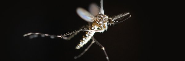 RiffellLab Profile Banner