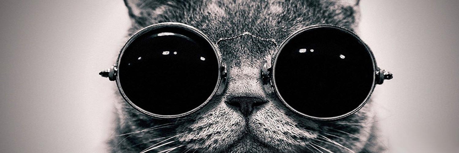 funnylaughtrax's profile banner image