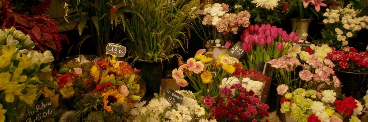 𓍢ִ໋🌷͙֒ banner