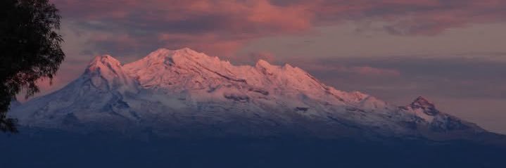 leyoyee's profile banner image