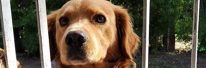 SophieManda's profile banner image