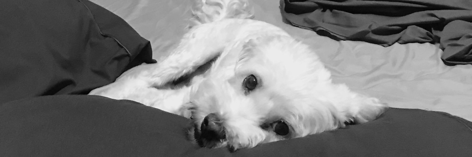 bonillakp's profile banner image