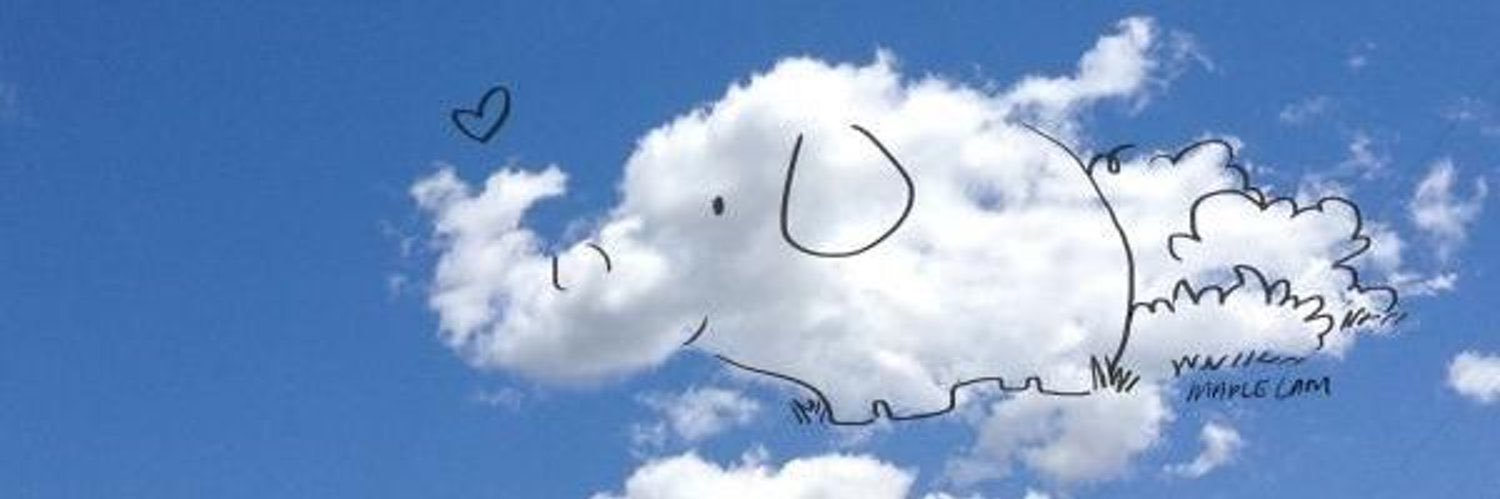 Frrrrrrida banner