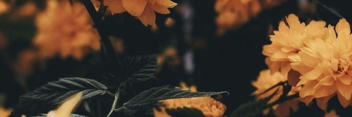 Jillian1796's profile banner image