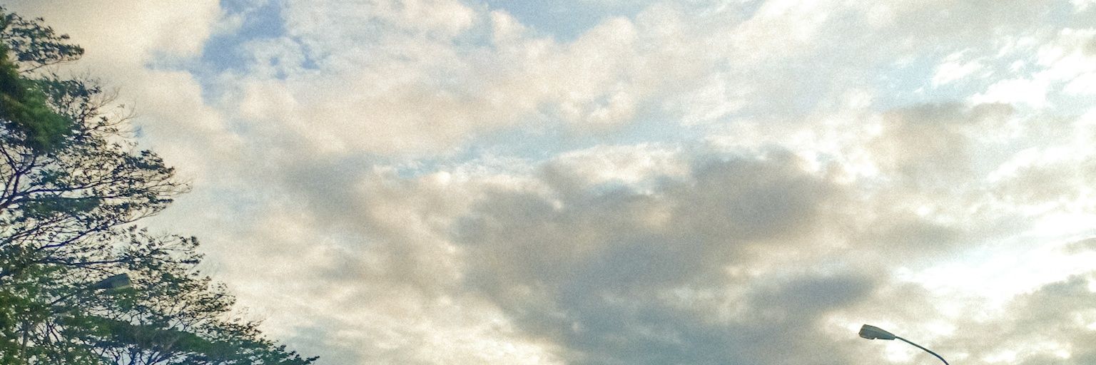 IreeneRS's profile banner image
