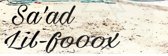 lil_fo0ox's profile banner image