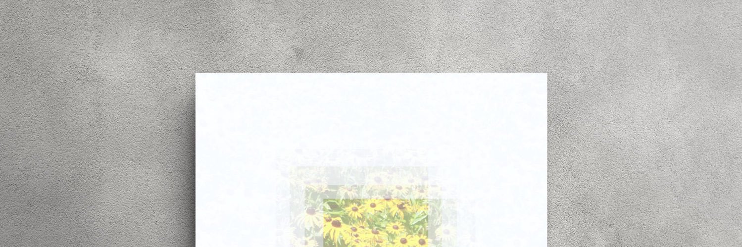 DRFTPN's profile banner image