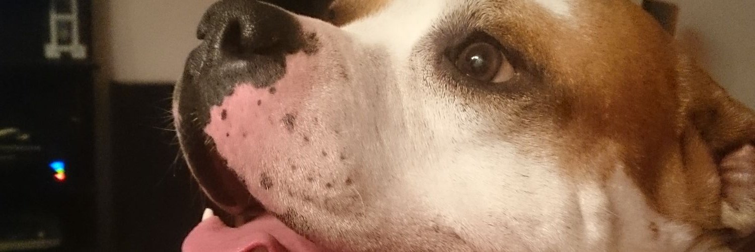 Pitbull204MB's profile banner image