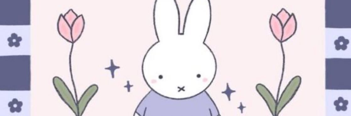 naomidonuts's profile banner image