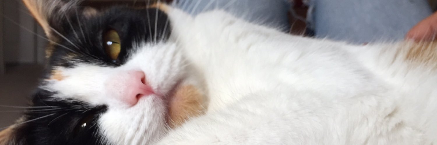 mikeymooser's profile banner image
