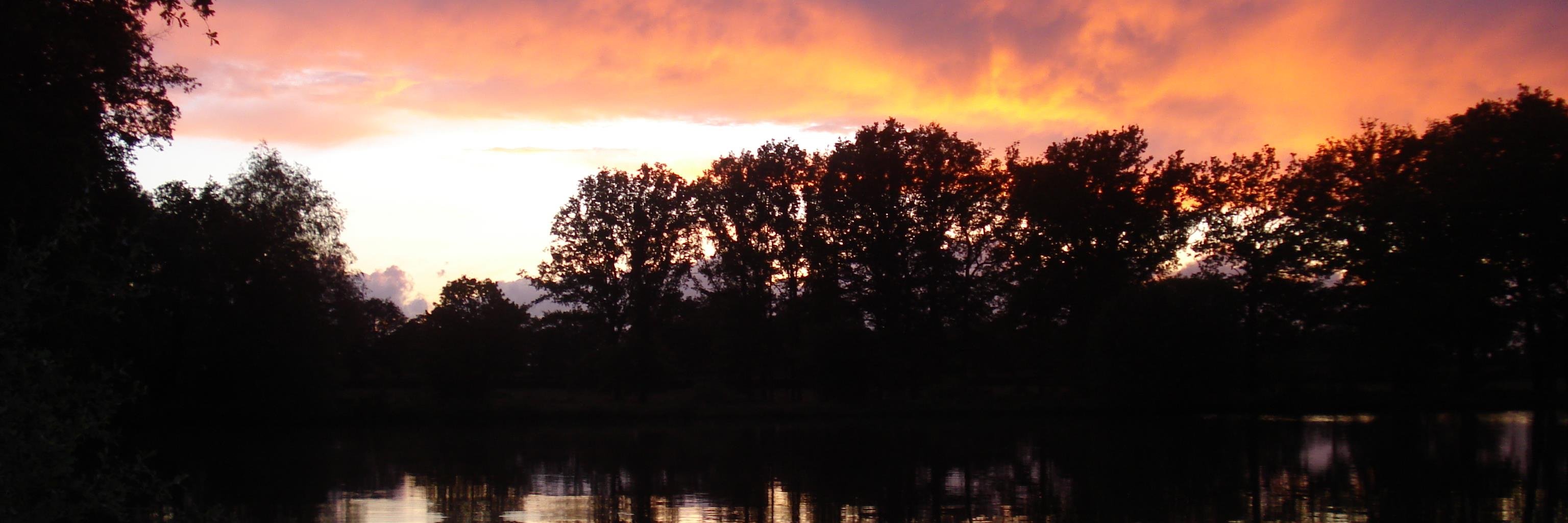 MichaelCrick's profile banner image