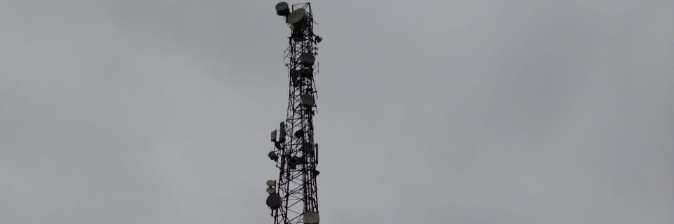 ck_bert's profile banner image