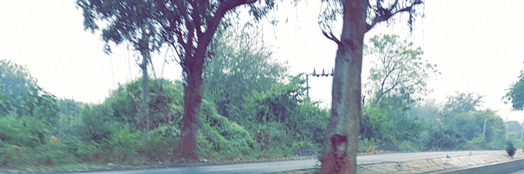 Rashmi singh banner