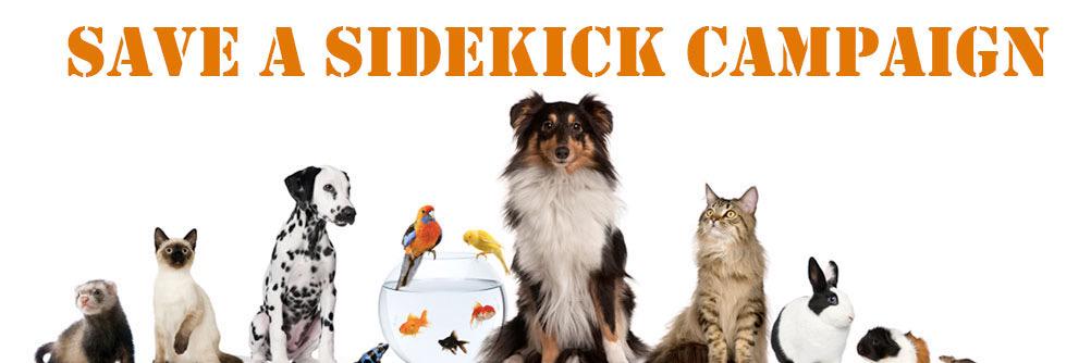 Save_A_Sidekick's profile banner image