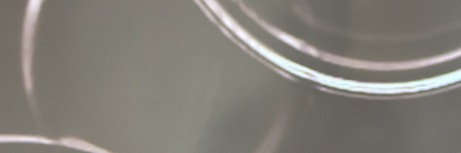 spinsteresque's profile banner image