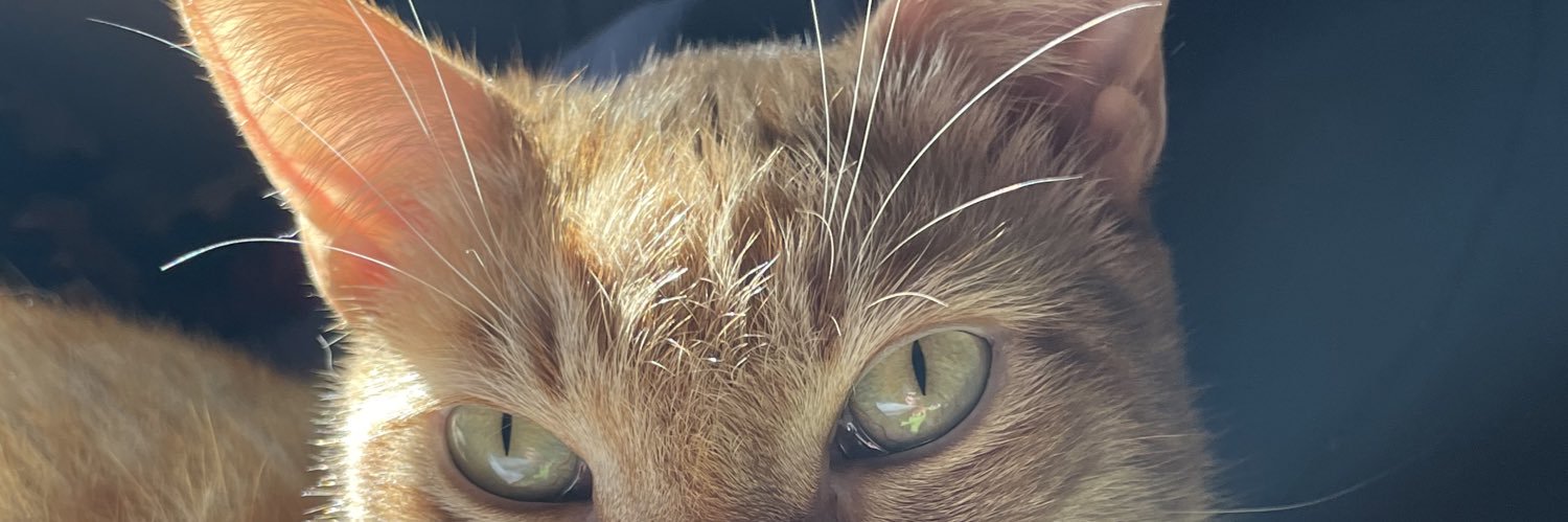 sam3trs's profile banner image