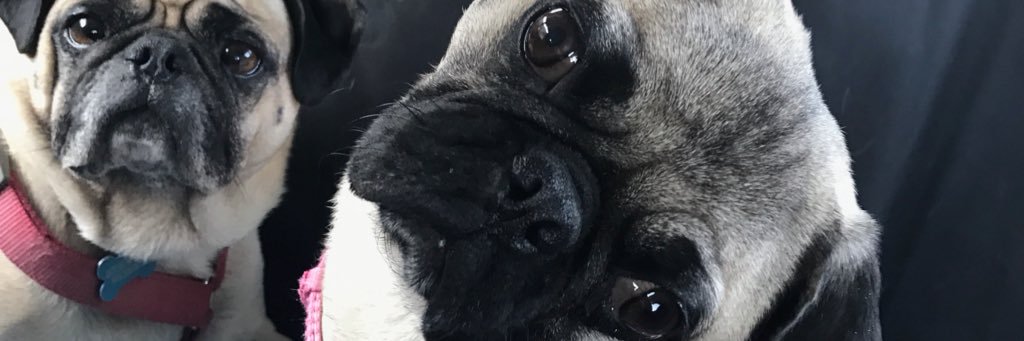 dubaroo's profile banner image