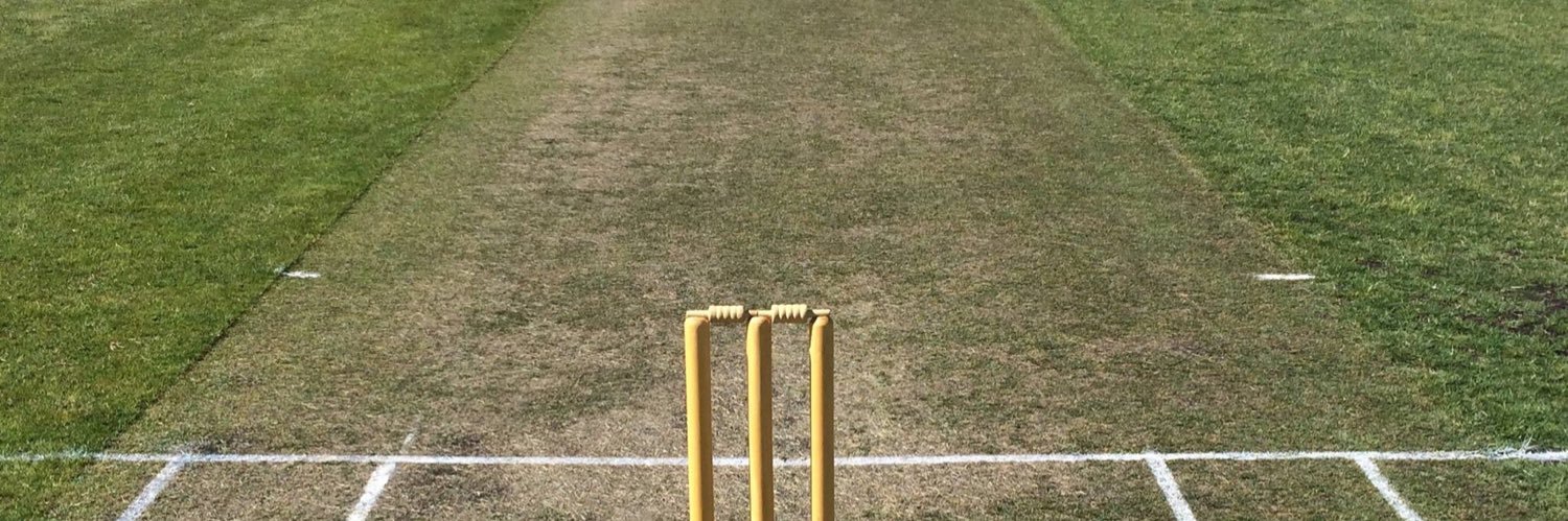 Taylors Lakes CC banner